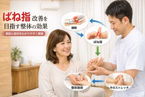 18整体 ばね指